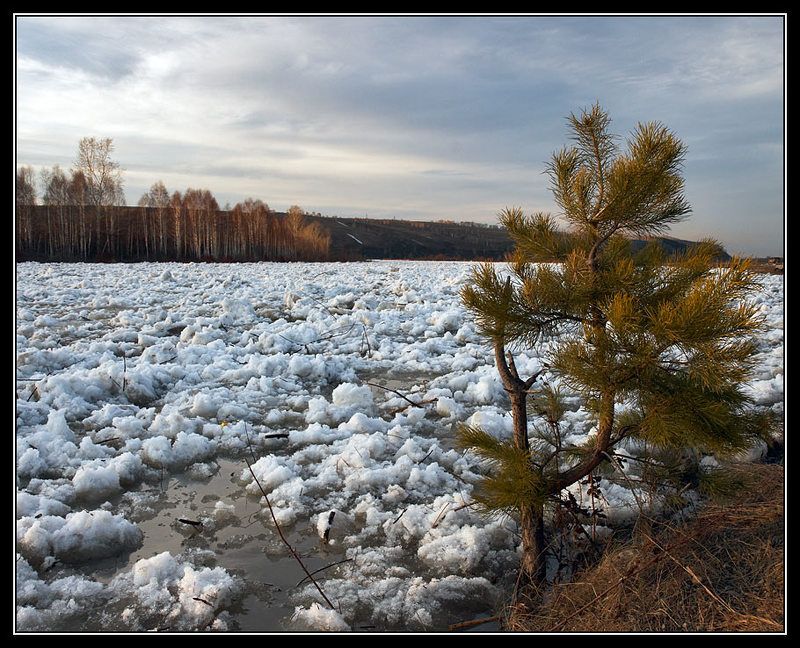 ледоход, на, реке, кондома Началось, на радость и на печаль ...photo preview