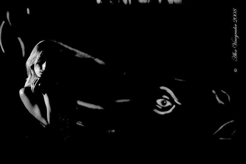 графити,  носорог,  линии,  девушка,  агрессия,  экспрессия,  ассоциации,  намеки, носорог графитиphoto preview