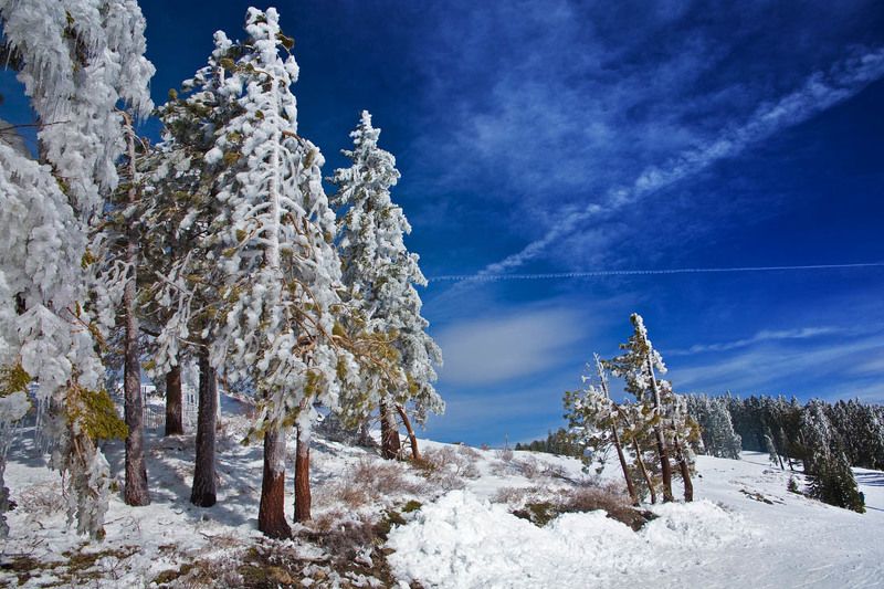 alpine, meadows, (ca) Alpine Meadows (CA)photo preview