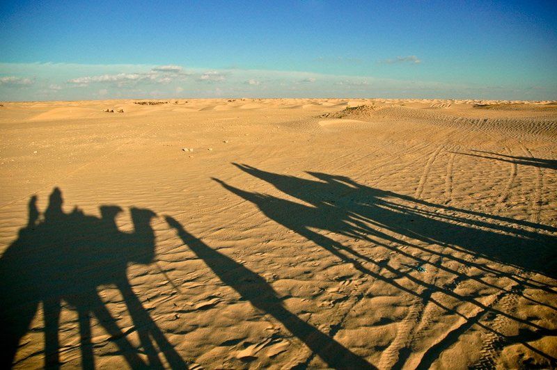 Караванphoto preview