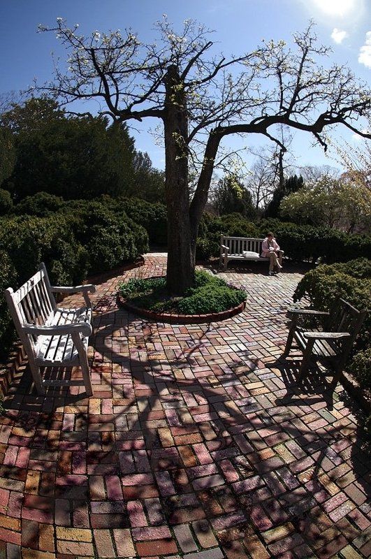 Cкверный отдых. (отдых в сквере)photo preview