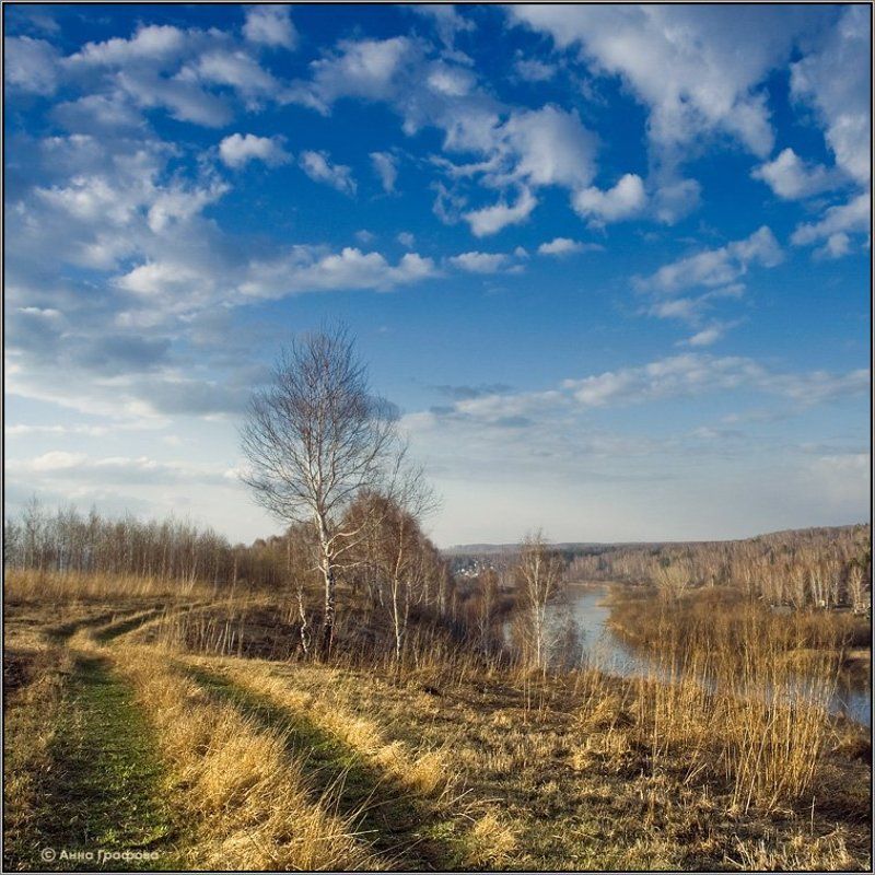 нсо, берёза, река, иня, весна, аня графова Апрельphoto preview