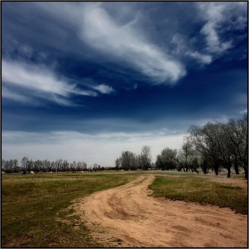 хакасия ВЕСНА В СИБИРИphoto preview