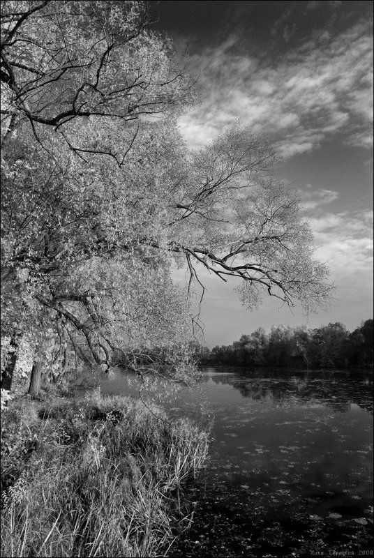 октябрьсая, гравюра Октябрьская гравюраphoto preview