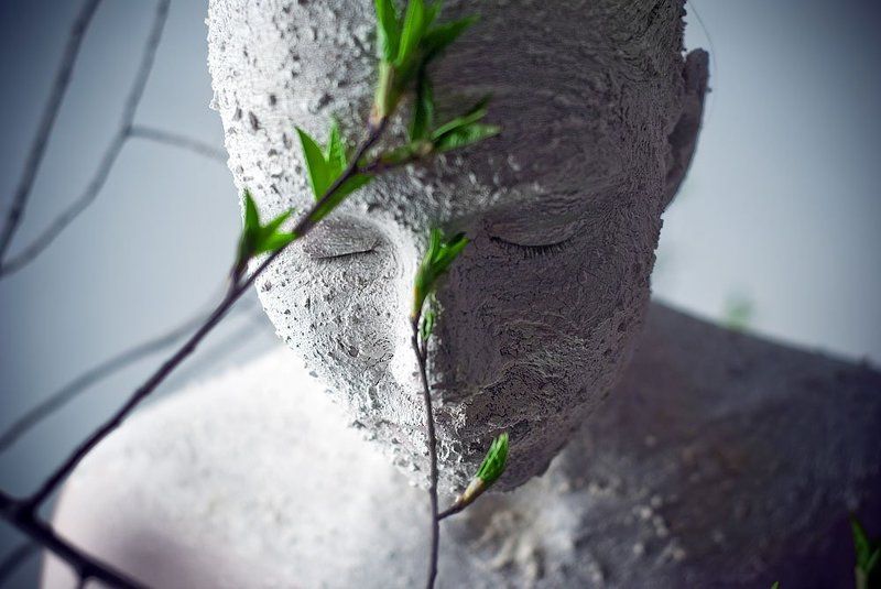 Расцветphoto preview