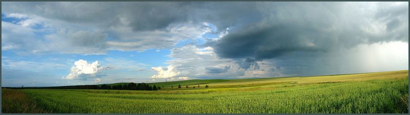 Эти летние дождиphoto preview