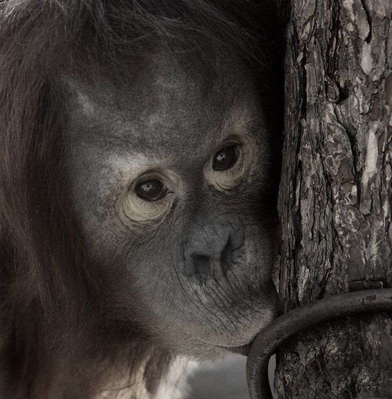 Железякаphoto preview