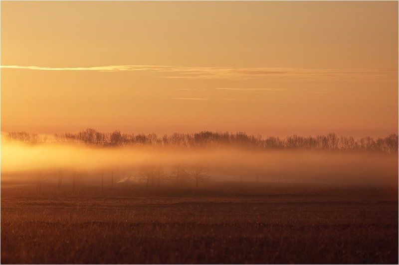 фомичёвские, луга, башкирия Под покрываломphoto preview