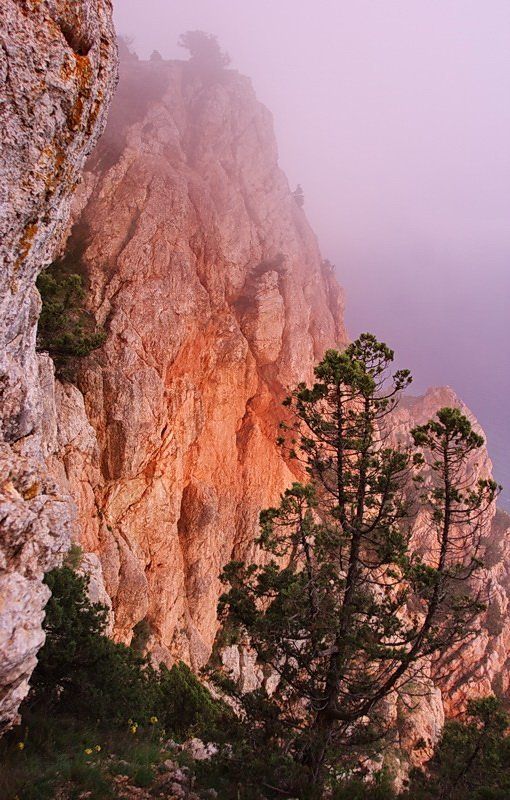 свечениеphoto preview