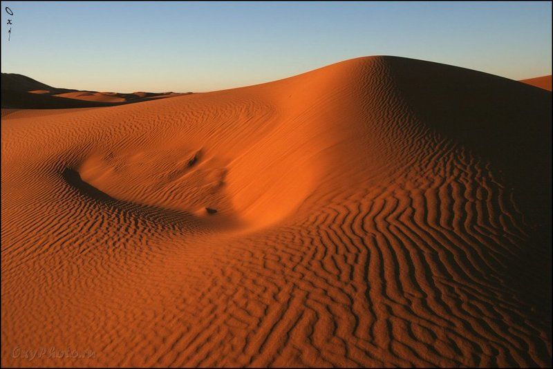 африка, марокко, africa, morocco, maroc, магриб, песок, дюны, пустыня, сахара, sand, dune, desert, sahara, эрг-шебби, erg-chebbi, merzouga, мерзуга Линии, формы...photo preview