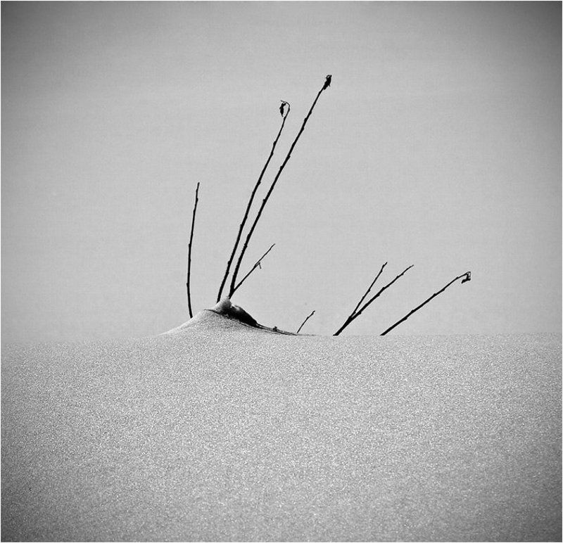 _\\][/_photo preview