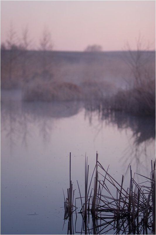 фомичево, болото, башкирия photo preview