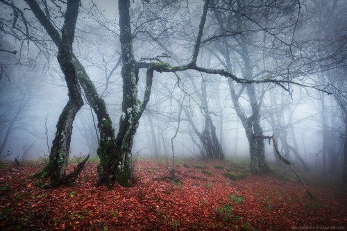 Утро на Ай-Петри