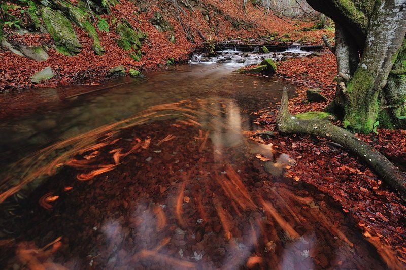 Карпаты, Осень, Речные пороги, Украина, Шипот Речные порогиphoto preview