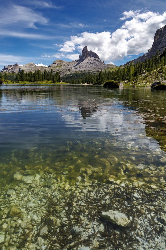 Italy, dolomiti, landscape, fish,  Lake Federaphoto preview