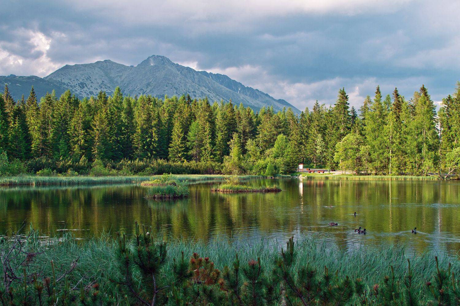 Штребске плесо. Автор: Alexey Belov , Alexey Belov