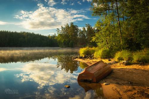 Warm morning light