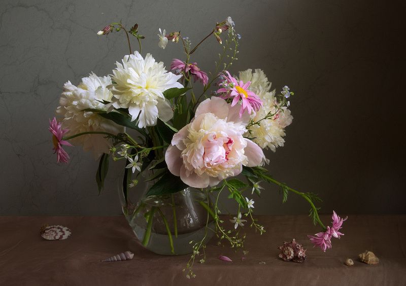 Пионыphoto preview