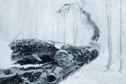 Bent and frozen