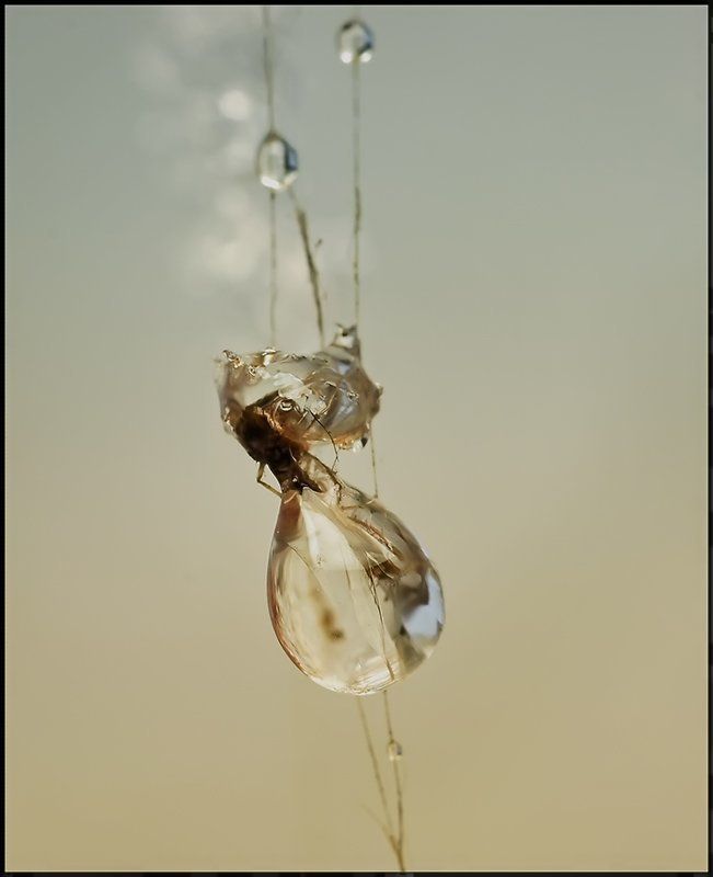 Мешочек от Дедушки...photo preview