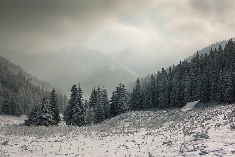 А просто зима...photo preview