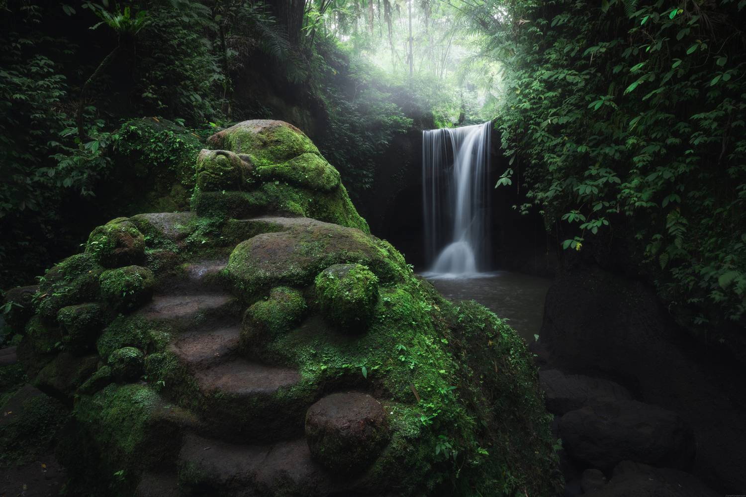 , Даниил Коржонов