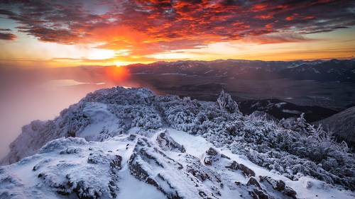 Winter morning