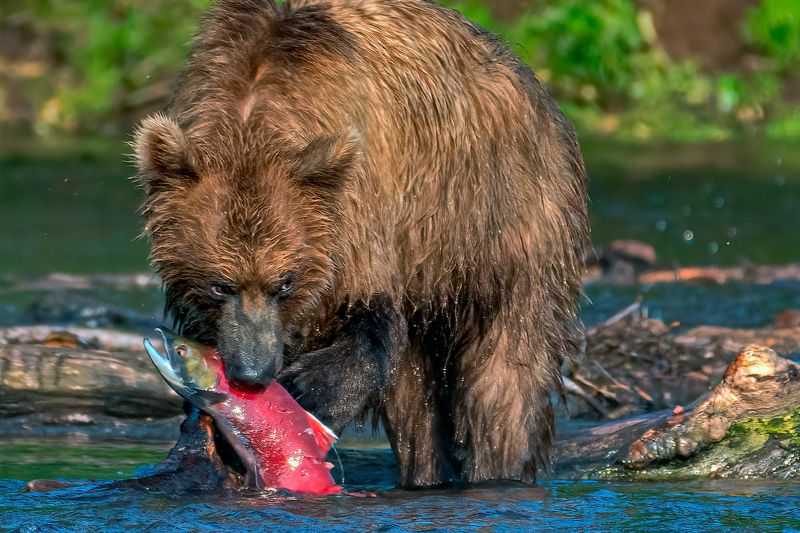 Не отдамphoto preview