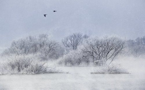 Peaceful lake - Hard rime