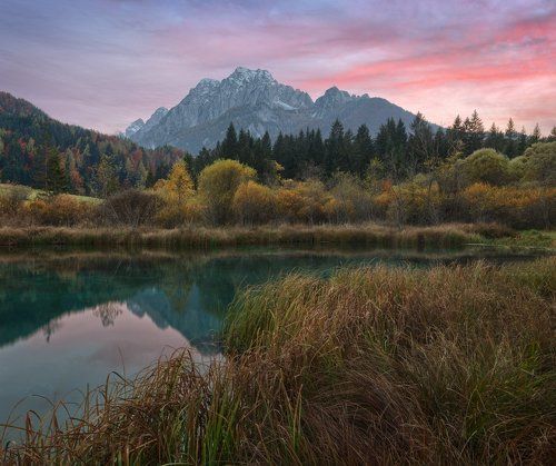 Zelenci