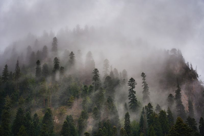 домбай dombay Домбай. Карачаево-Черкесская Республикаphoto preview