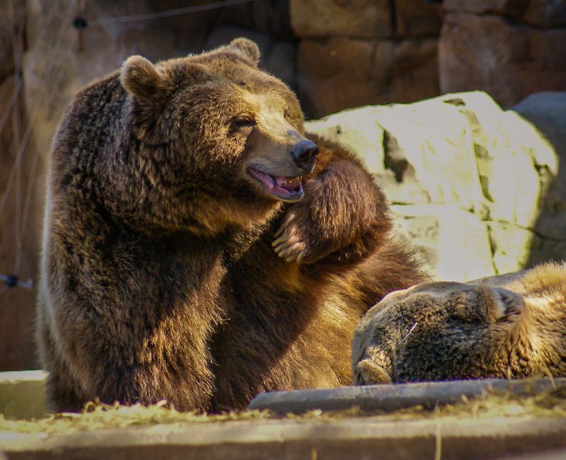 Кто, Я?photo preview