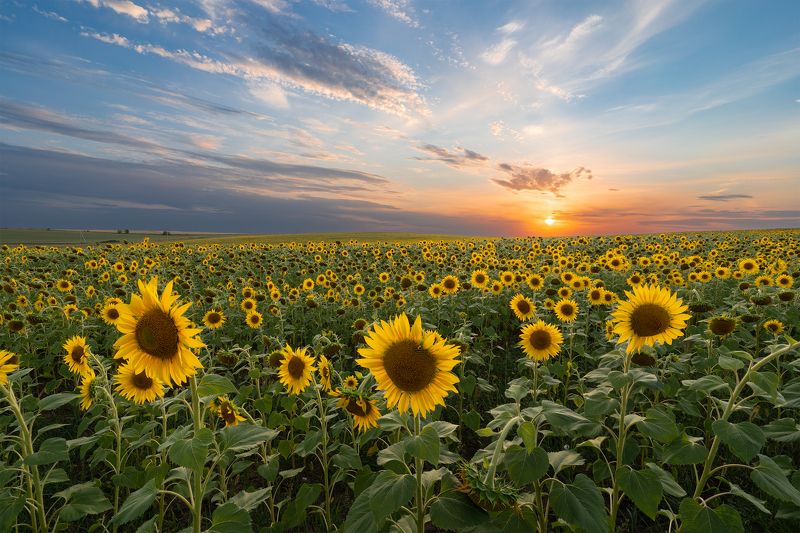 Августовский вечерphoto preview