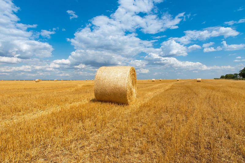 It\'s harvest timephoto preview