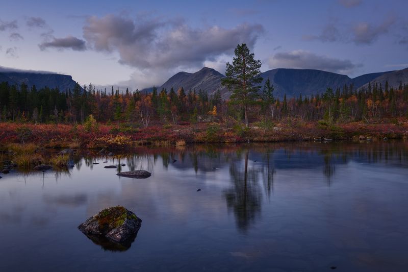 Субботнее утречко....photo preview