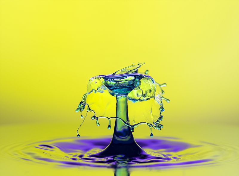 WATER,LIQUID,ABSTRACT,BLUE,LIQUID ART,DROPS,MACRO,SPLASH PHOTO,SPLASH,SPLASHING,STILL LIFE,DROP,DROPLET,DROPLETS,WATER DROP,WATER DROPS,RIPPLE,RIPPLES,CLOSE UP,CLOSE-UP Dancing Dropsphoto preview