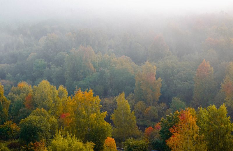 Осеньphoto preview