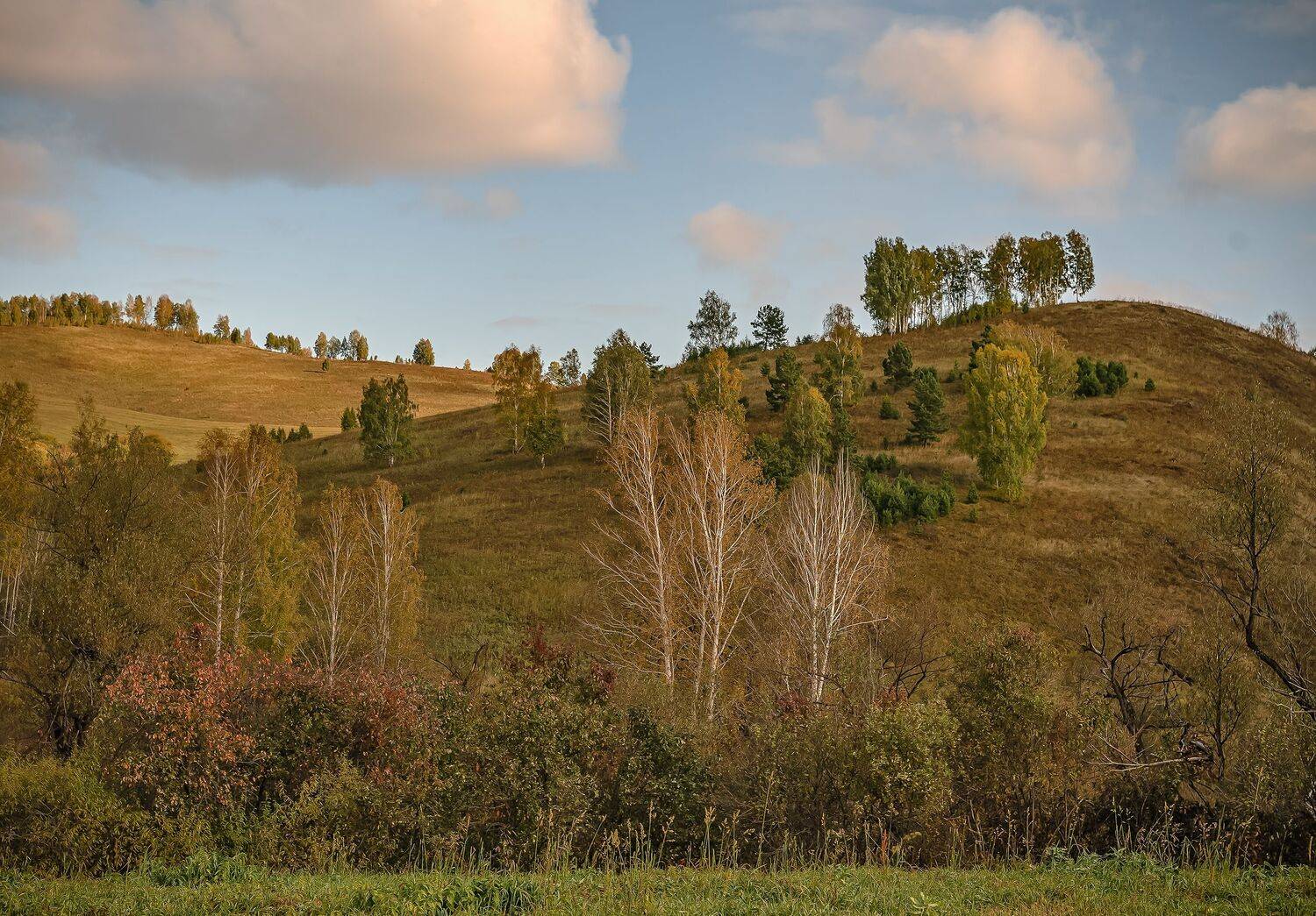 По дорогам Алтайского края. Автор: Бирюков Вячеслав алтайский край. осень., Бирюков Вячеслав