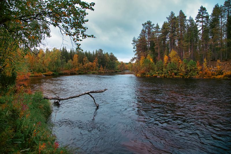 река Енаphoto preview