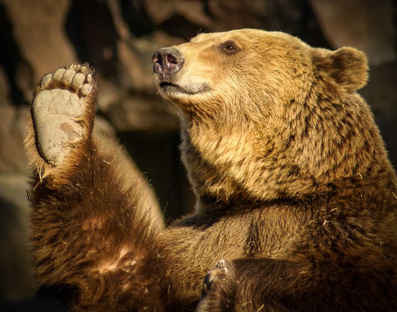 Голосую!!photo preview