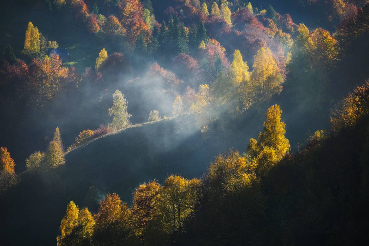 , Stefan Chirobocea