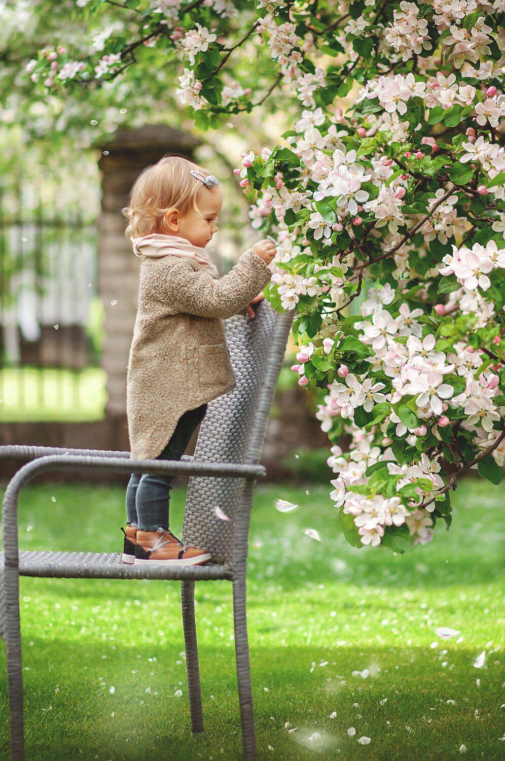 Автор: Юлия Новикова , Юлия Новикова