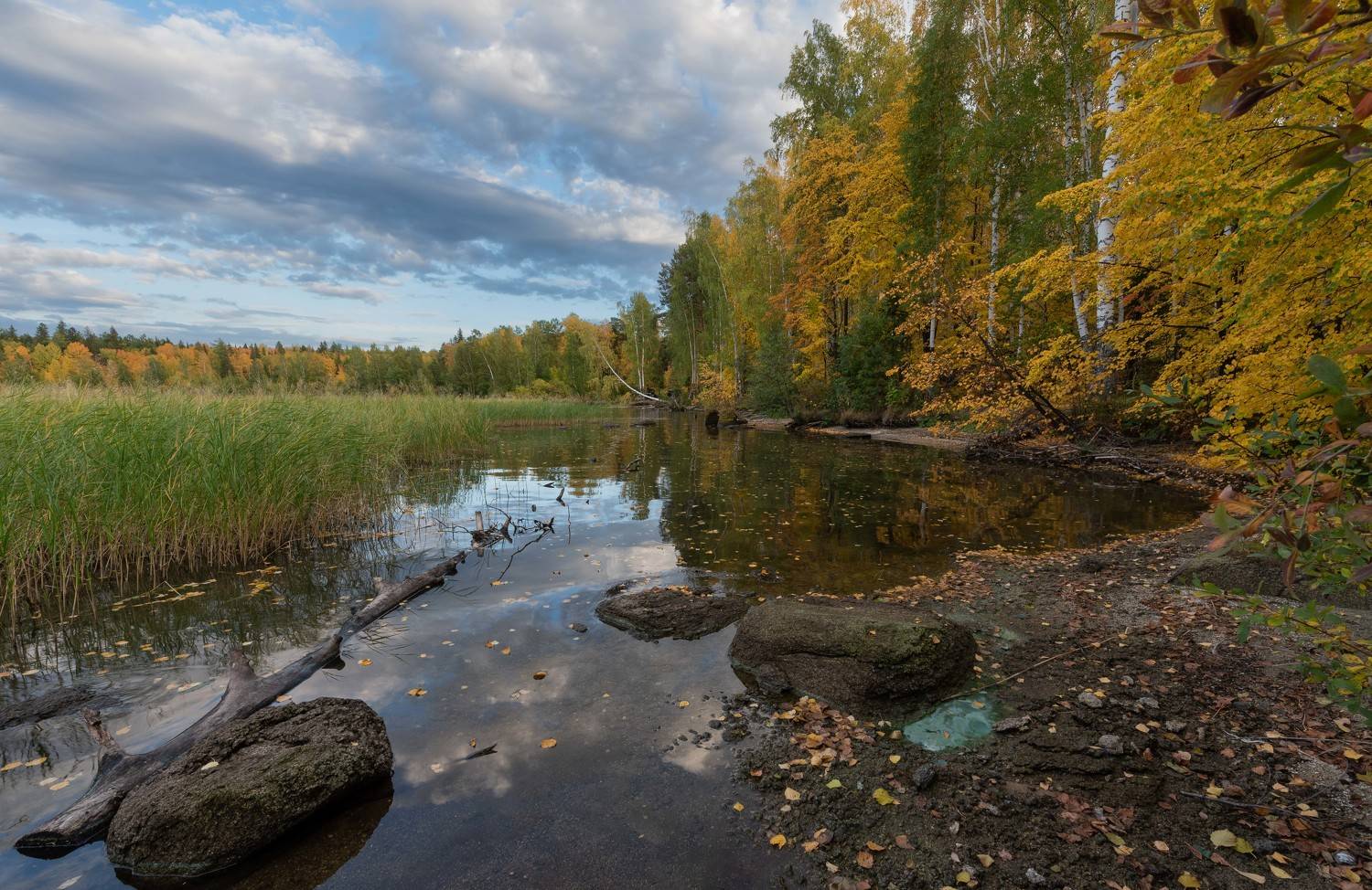 ***. Автор: Ватрушкин Максим , Ватрушкин Максим