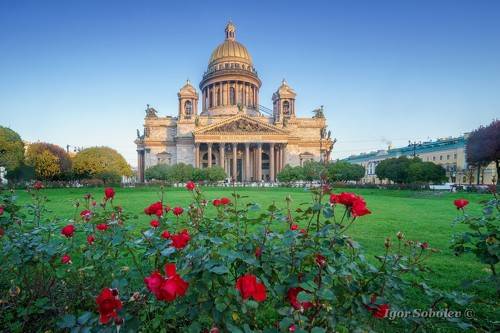 Исаакиевский собор с розами
