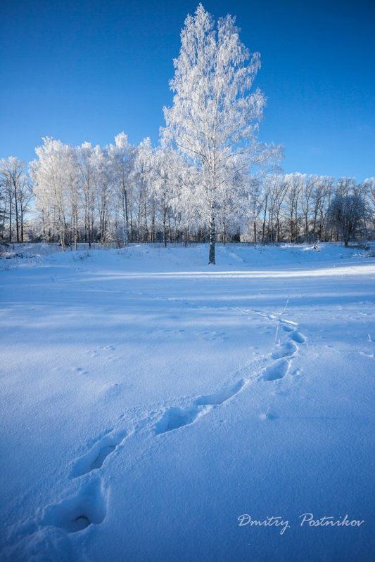 В декабре 2014-го.photo preview