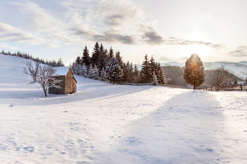 вечер, горы, дерево, закат, карпаты, лес, солнце, тени, украина, хижина Заснеженное полеphoto preview