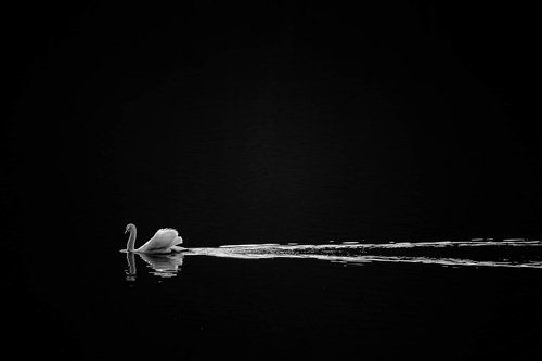 Romanski photography