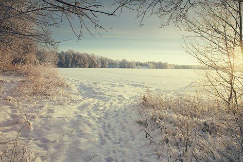 Обрамление для озера