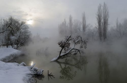 Солнечный остров скрылся в туман ...