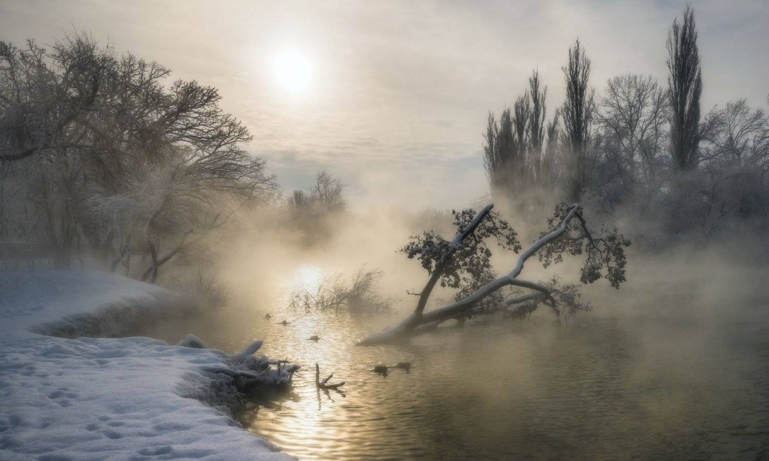 Однажды утром или на прогулку под присмотром. Автор: ФЁДОР , ФЁДОР